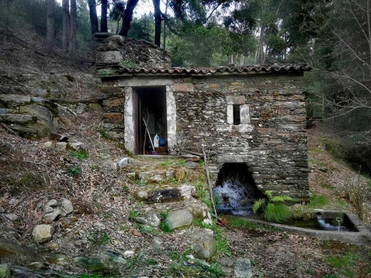 Viana Do Castelo - Amonde Village Casa P - Conforto Qualidade Natureza Exteriér fotografie